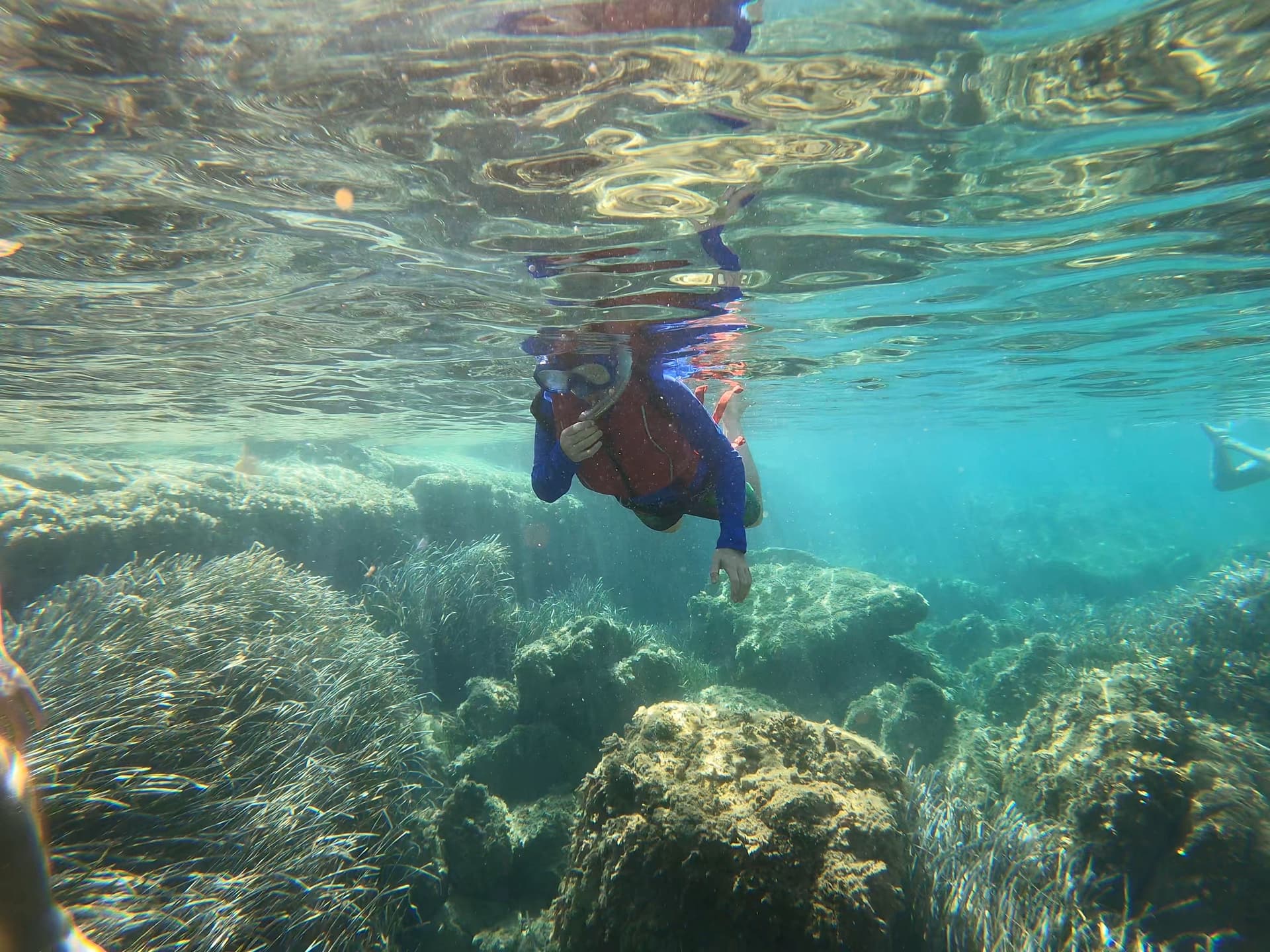 Kayak & Snorkel — 8